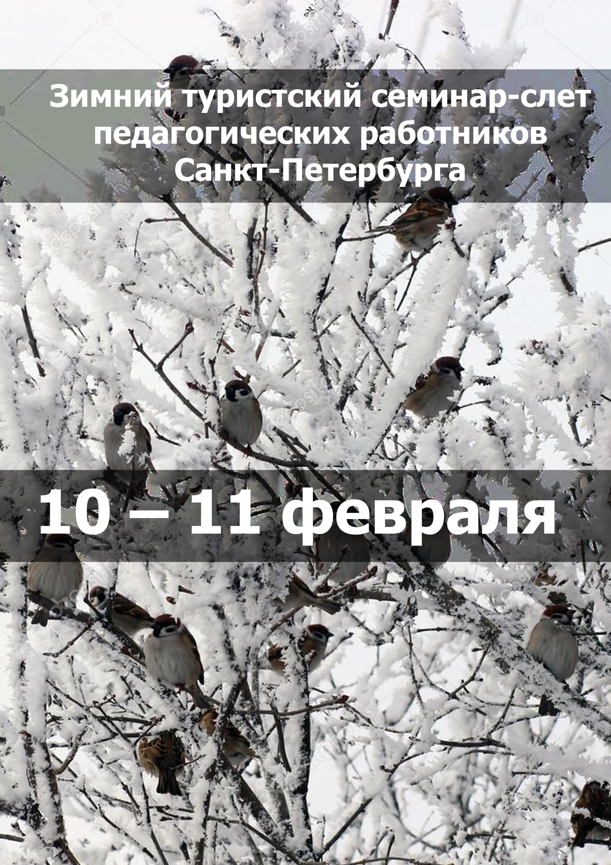 Зимний туристский семинар-слет педагогических работников Санкт-Петербурга 10 февраля 2023 года 
