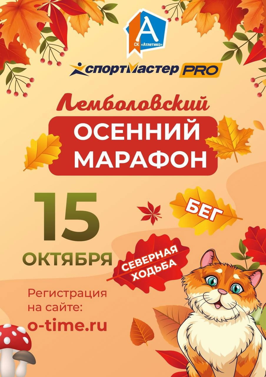 Фестиваль двигательной активности  15 октября 2022 года 