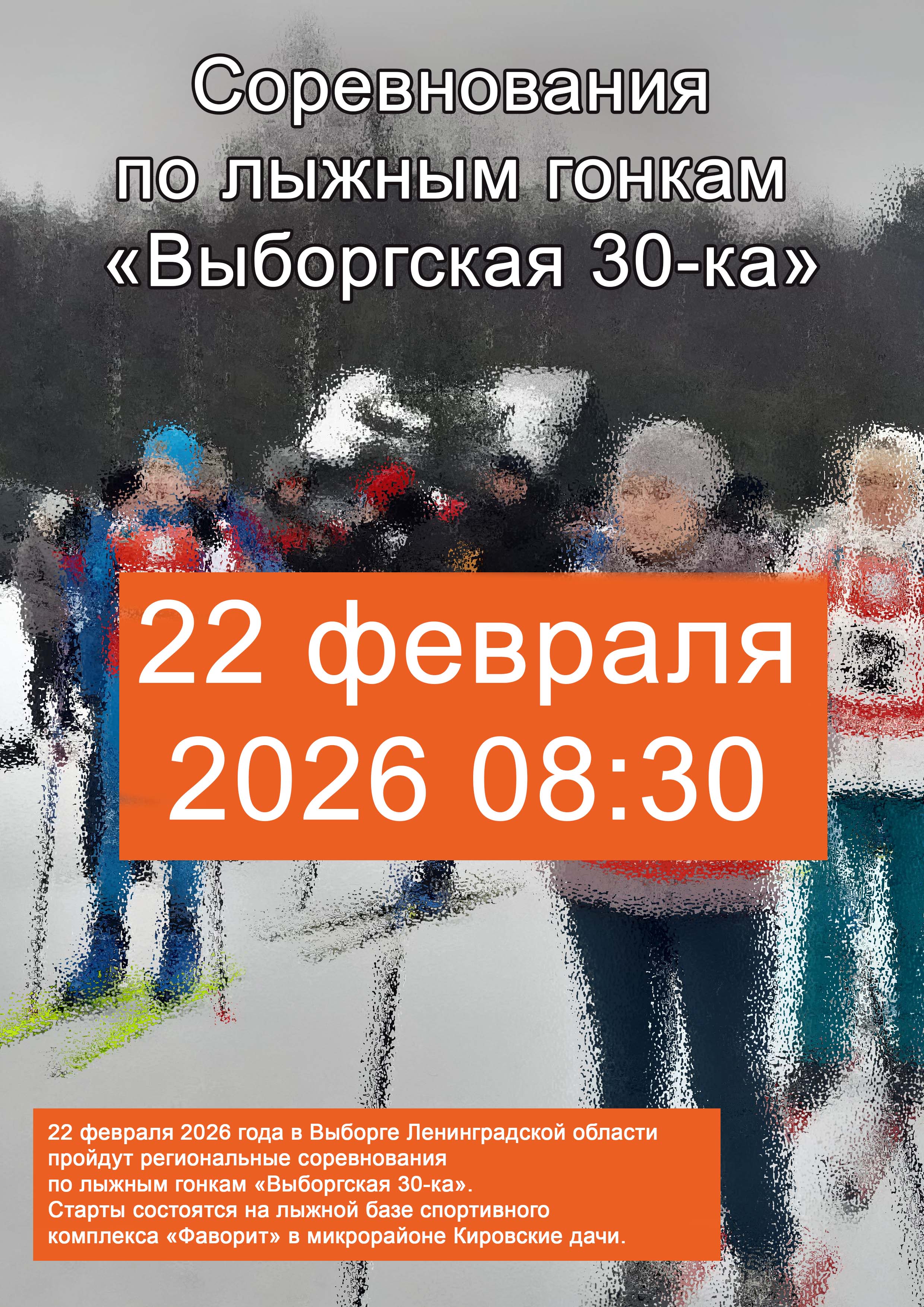 Соревнования по лыжным гонкам «Выборгская 30-ка» 22 февраля 2026 года