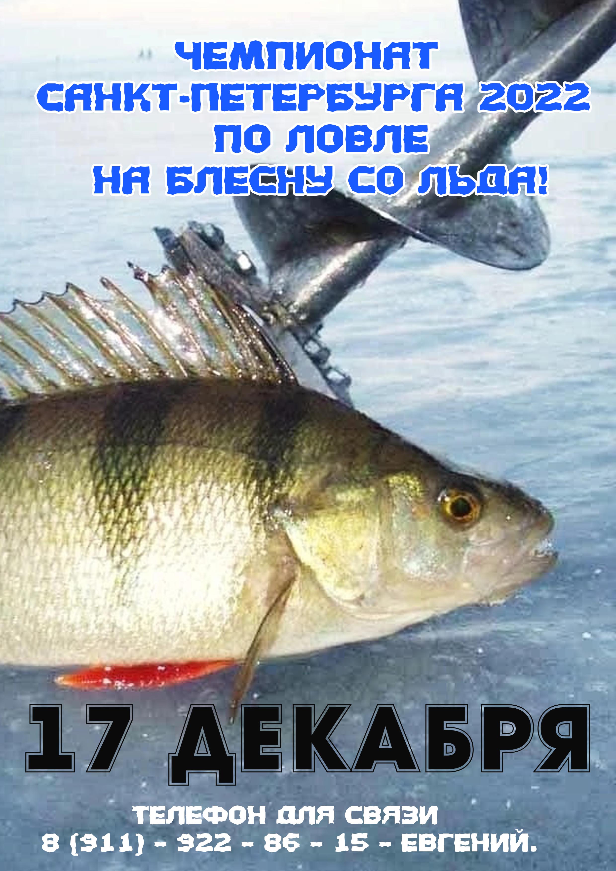Чемпионат Санкт-Петербурга 2022 по ловле на блесну со льда 17 декабря 2022 года 