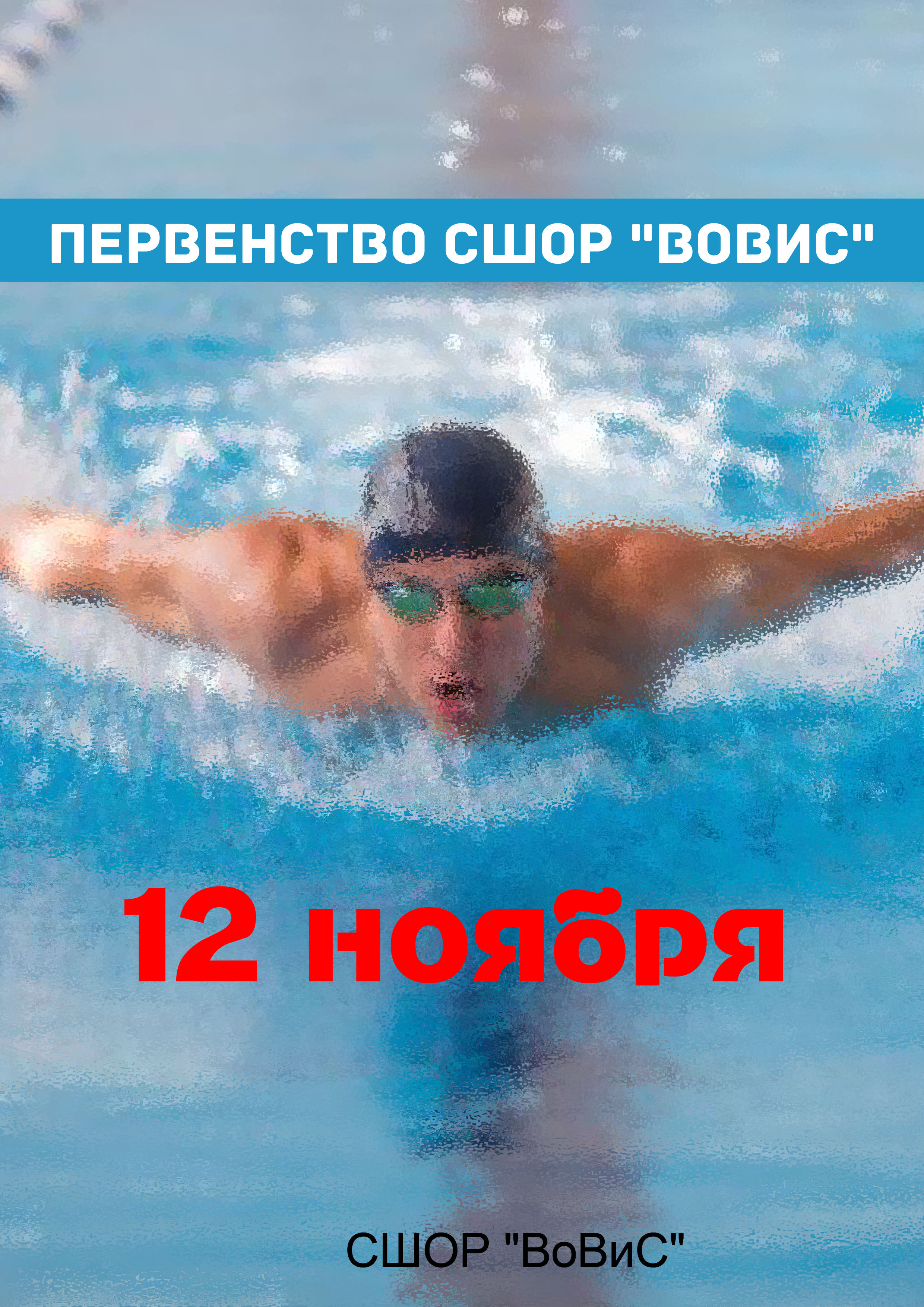 Первенство СШОР "ВоВиС" 12 ноября 2022 года Место: Россия, Санкт-Петербург, проспект Пархоменко, 6 