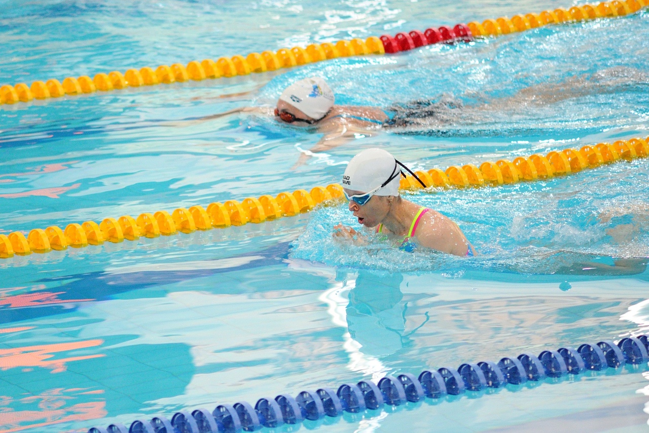 Международный турнир по плаванию в категории "Masters" 28  eylül
 2020  yıl
 