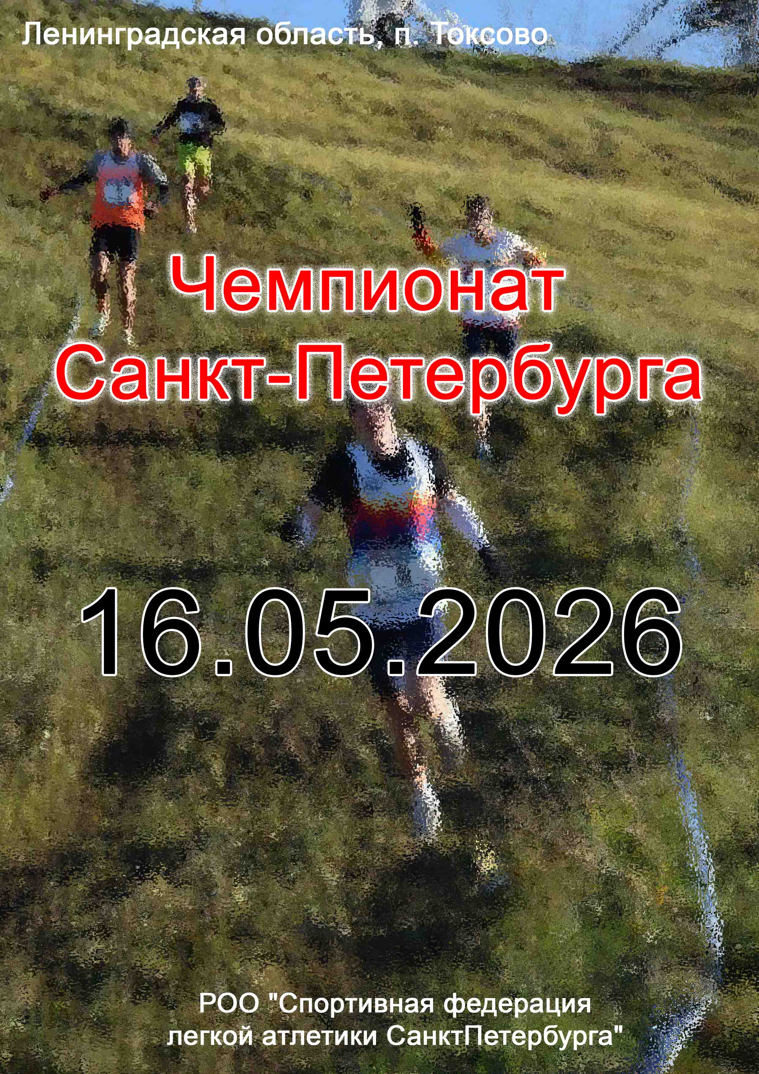 Чемпионат Санкт-Петербурга 16 мая 2026 г.