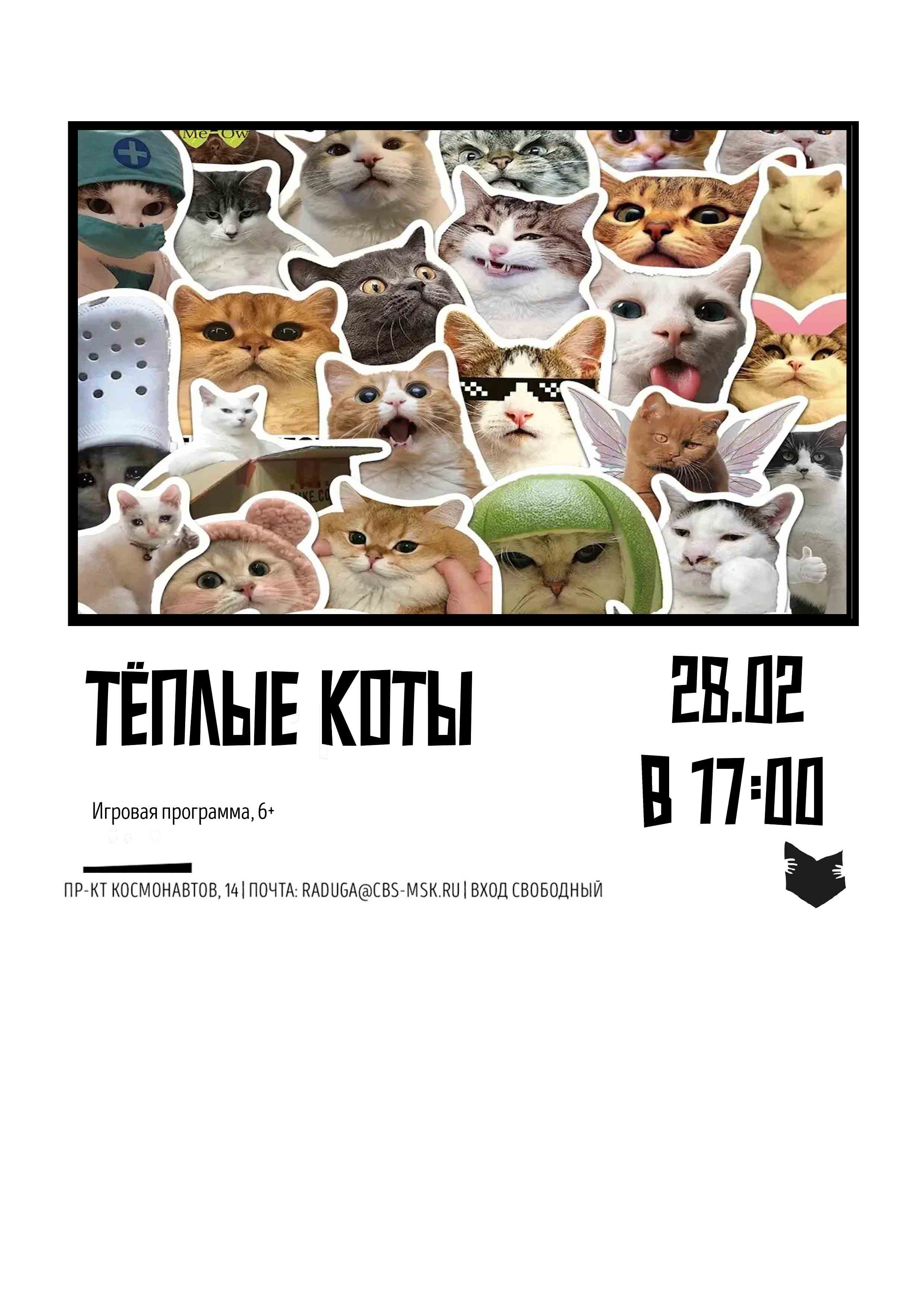Тёплые коты 28 февраля 2026 года