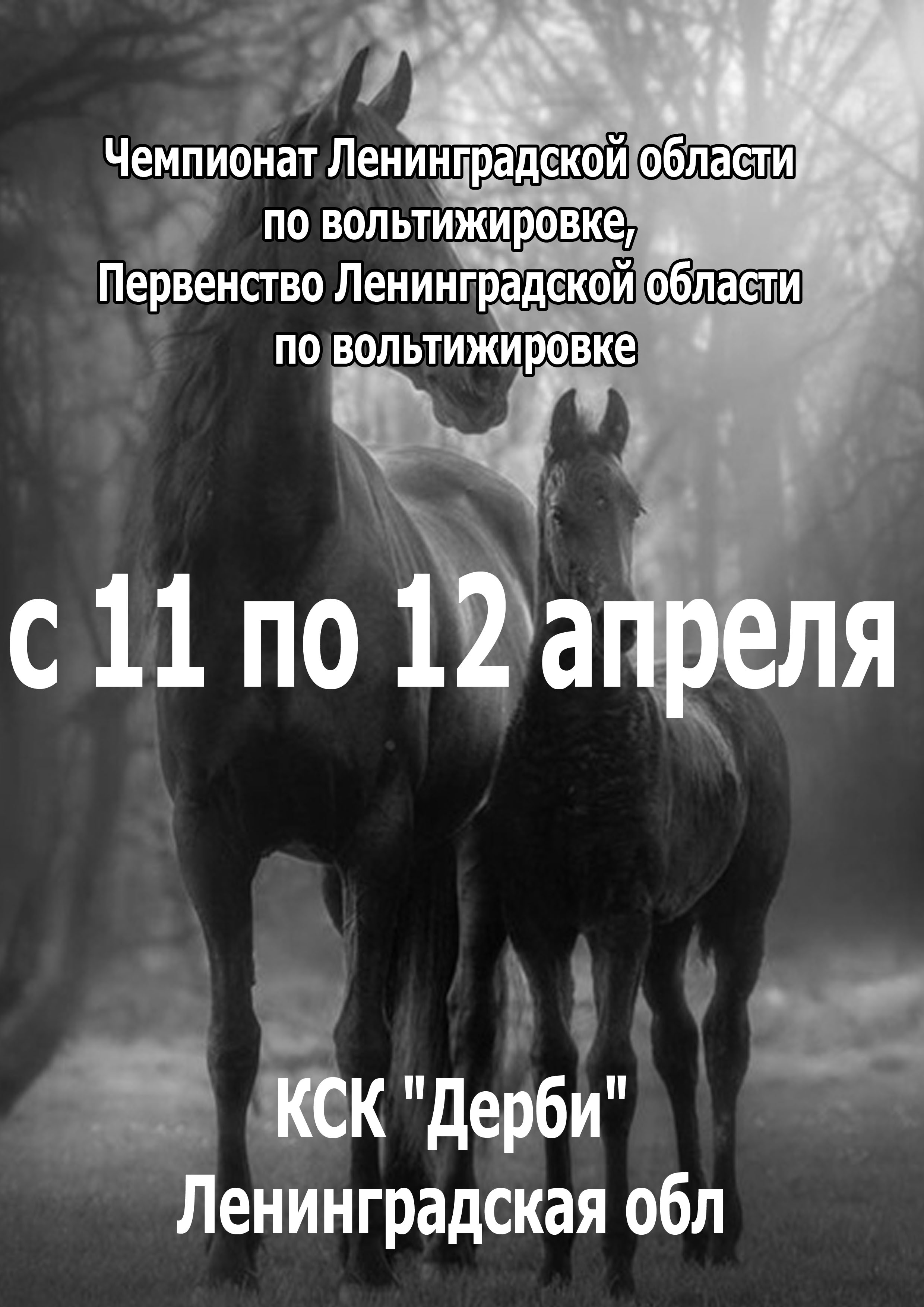 Чемпионат Ленинградской области по вольтижировке, Первенство Ленинградской области по вольтижировке 11 апреля 2023 года Место: Россия, Ленинградская область, Всеволожский район, Бугровское сельское поселение, деревня Энколово, Шоссейная улица, 19 