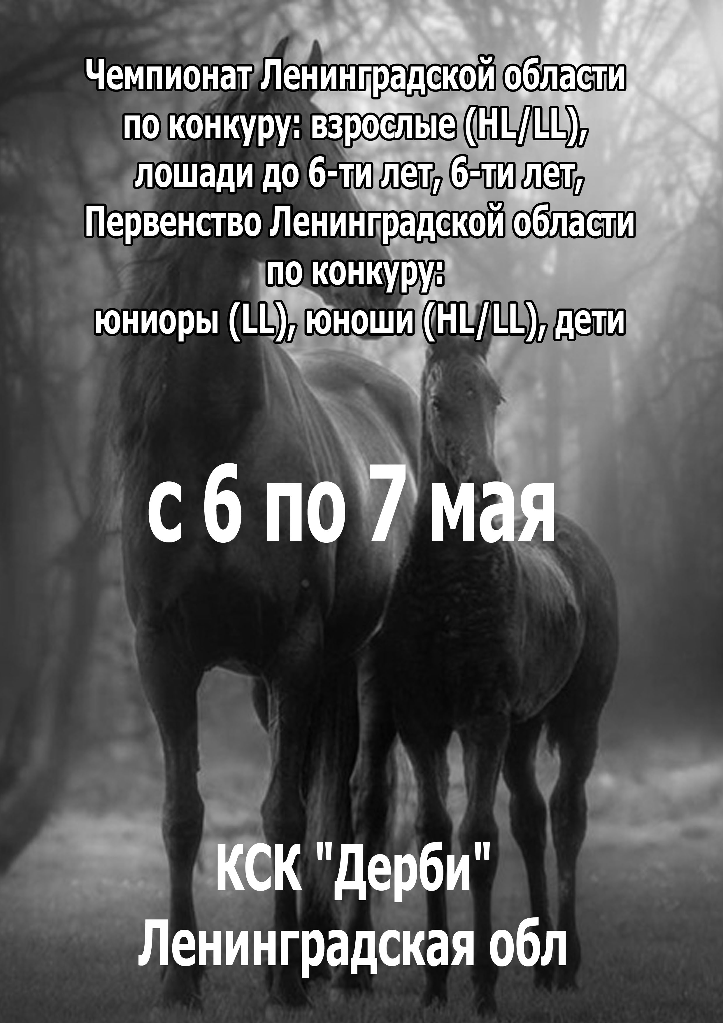 Чемпионат Ленинградской области по конкуру: взрослые (HL/LL), лошади до 6-ти лет, 6-ти лет, Первенство Ленинградской области по конкуру: юниоры (LL), юноши (HL/LL), дети 6 мая 2023 года Место: Россия, Ленинградская область, Всеволожский район, Бугровское сельское поселение, деревня Энколово, Шоссейная улица, 19 