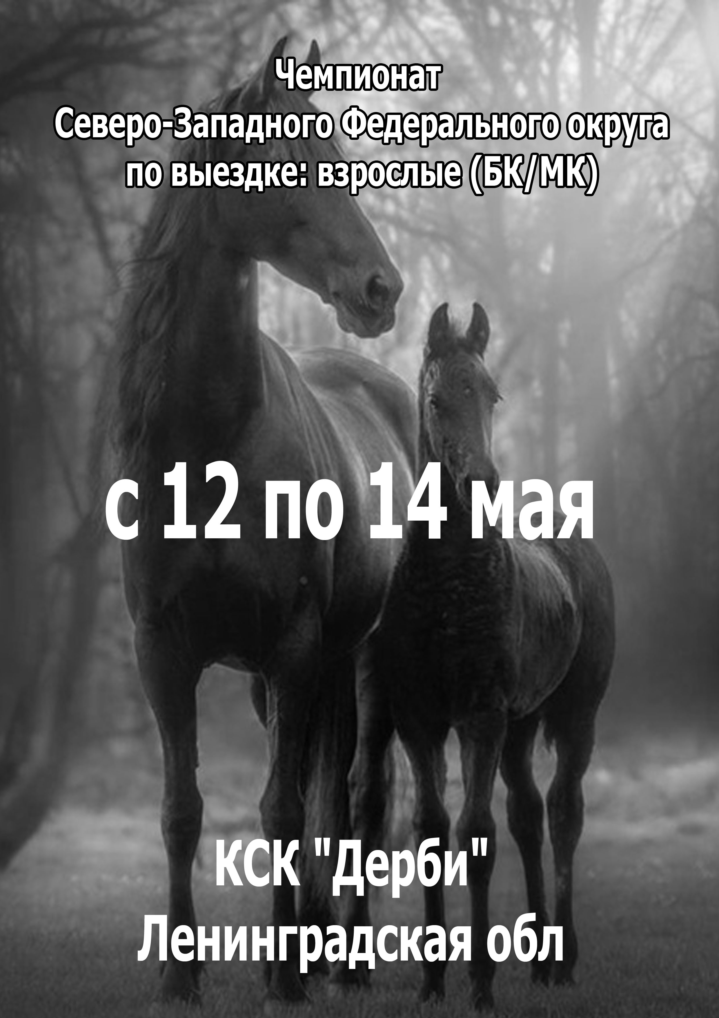 Чемпионат Северо-Западного Федерального округа по выездке: взрослые (БК/МК) 12 мая 2023 года Место: Россия, Ленинградская область, Всеволожский район, Бугровское сельское поселение, деревня Энколово, Шоссейная улица, 19 