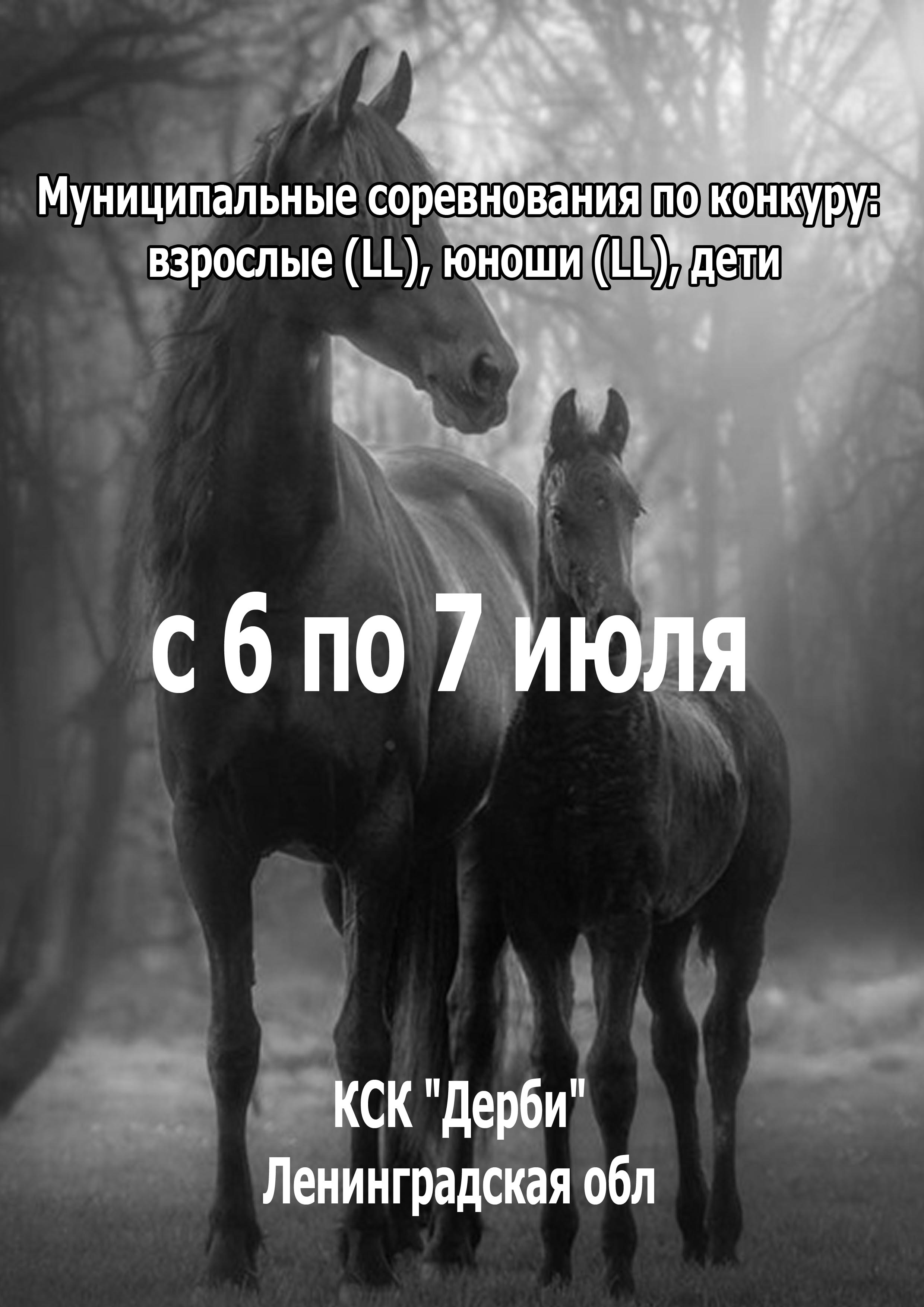 Муниципальные соревнования по конкуру: взрослые (LL), юноши (LL), дети 6 июля 2023 года Место: Россия, Ленинградская область, Всеволожский район, Бугровское сельское поселение, деревня Энколово, Шоссейная улица, 19 