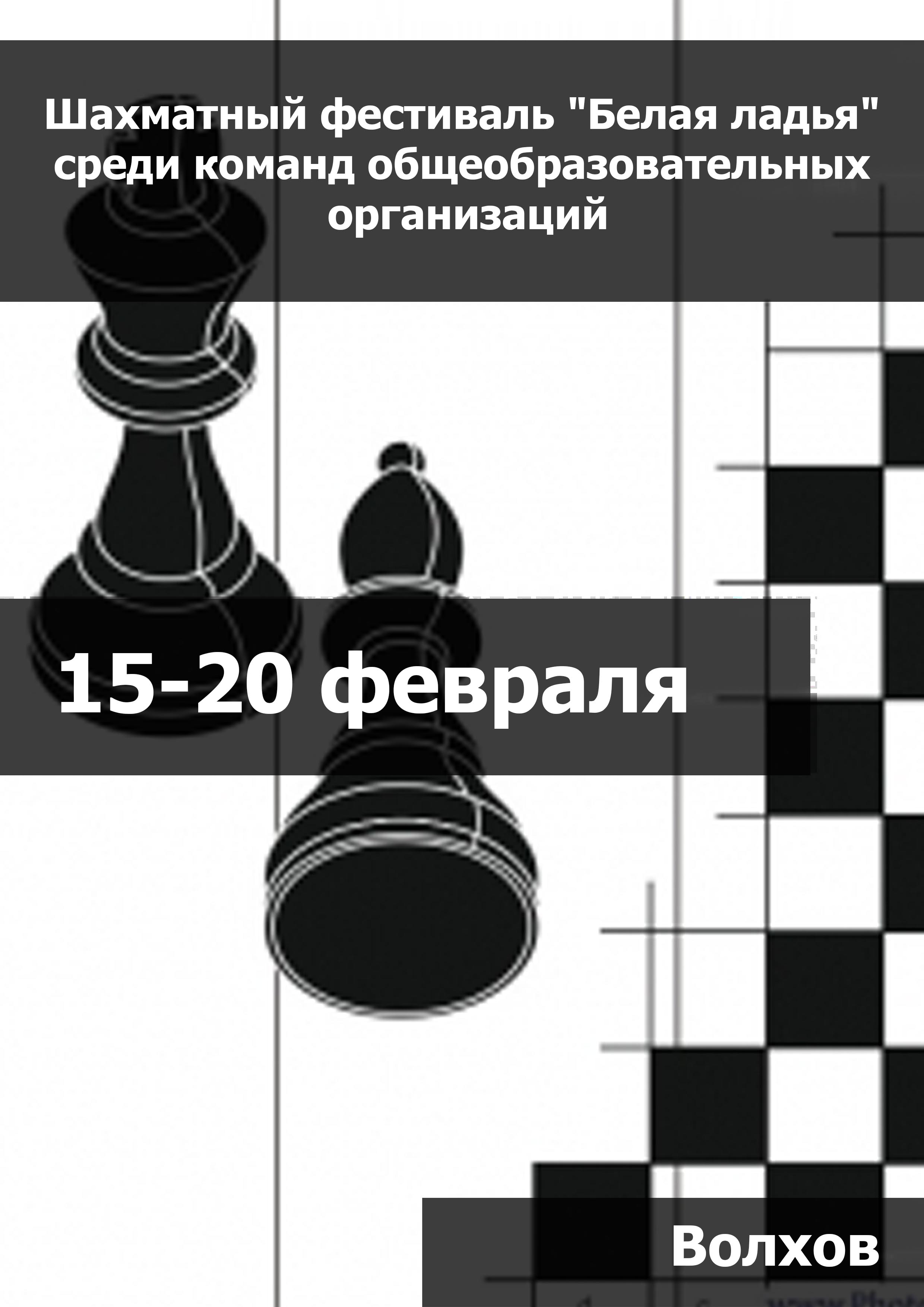 Шахматный фестиваль "Белая ладья" среди команд общеобразовательных организаций 15 февраля 2023 года 