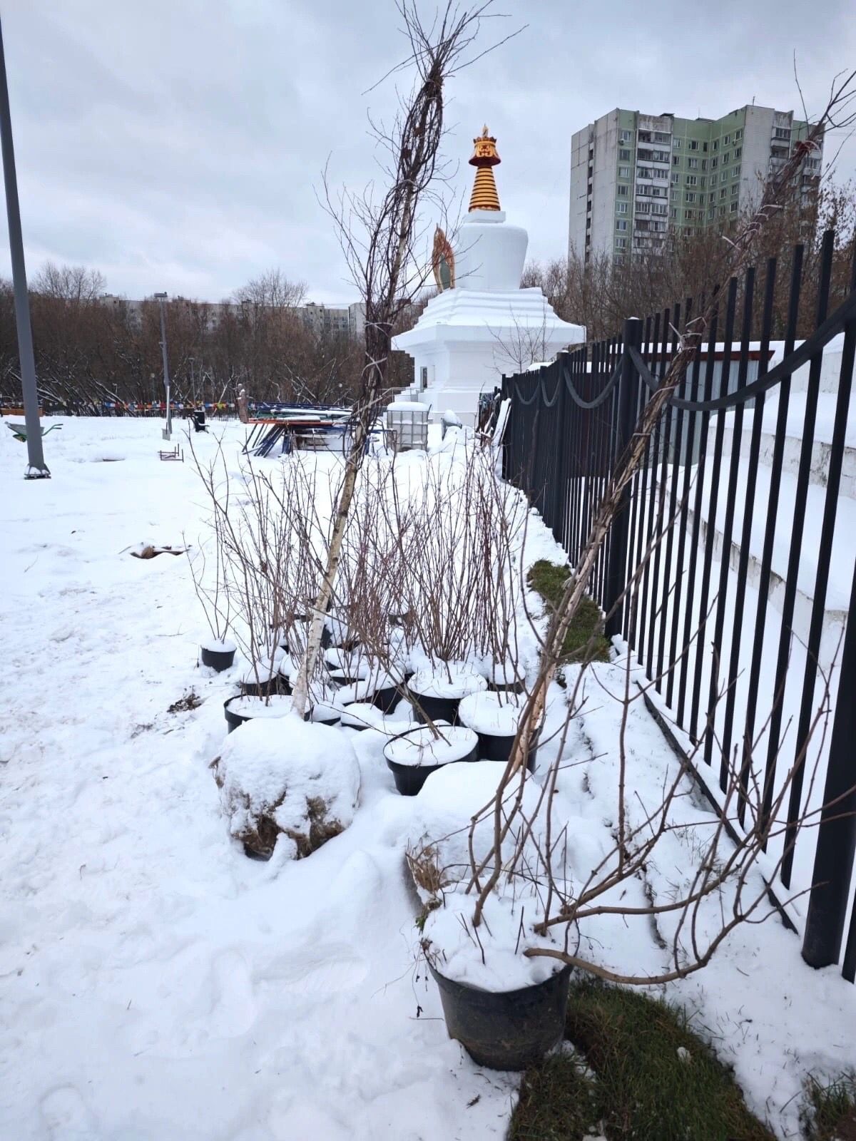 Благотворительный фонд "Живая память" и АНО "Сила Внутри" провели совместную акцию 19 декабря 2024 года 