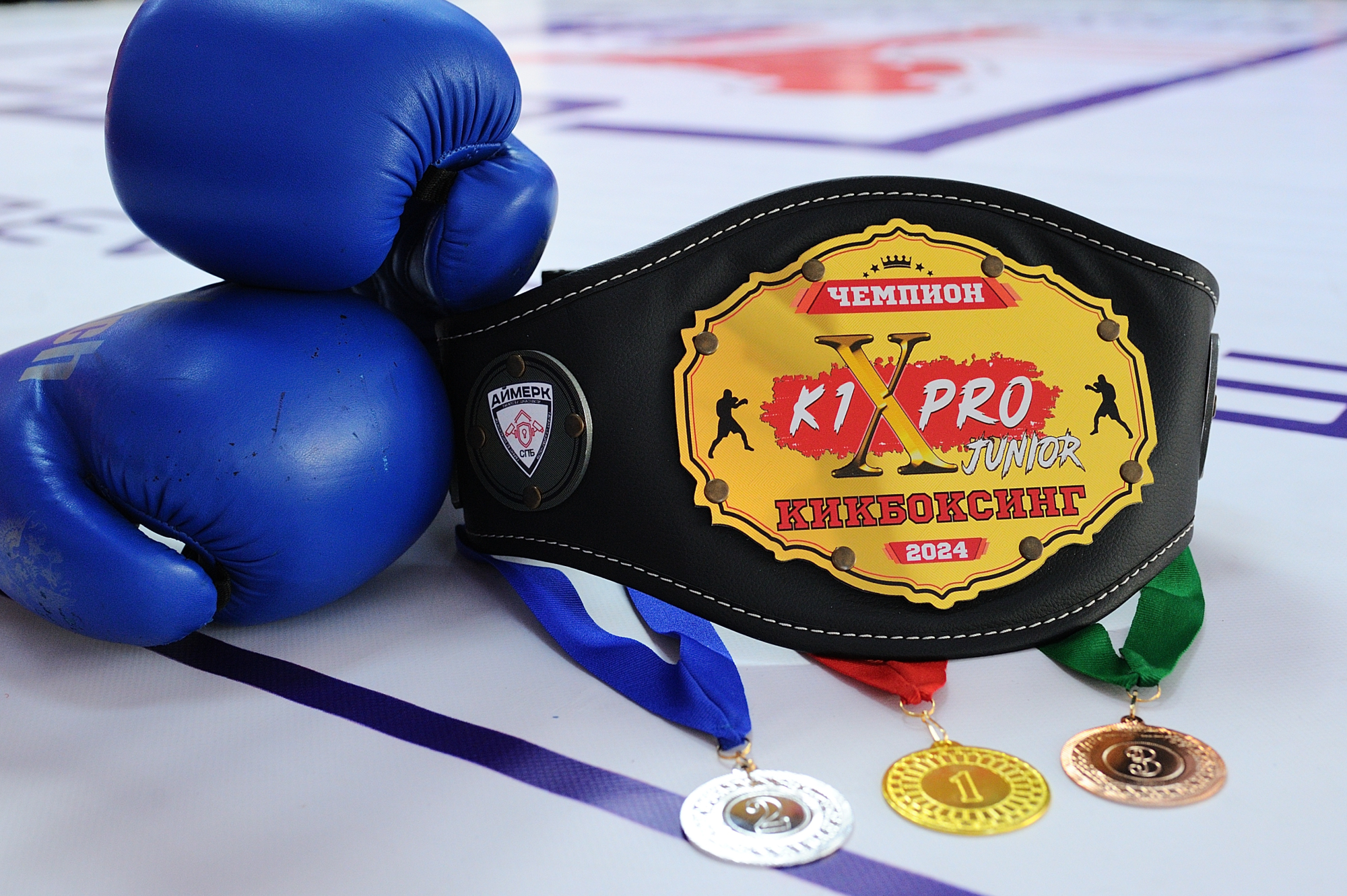 Победители второго тура отправятся 27 октября на Гран-При 27 октября 2024 года 