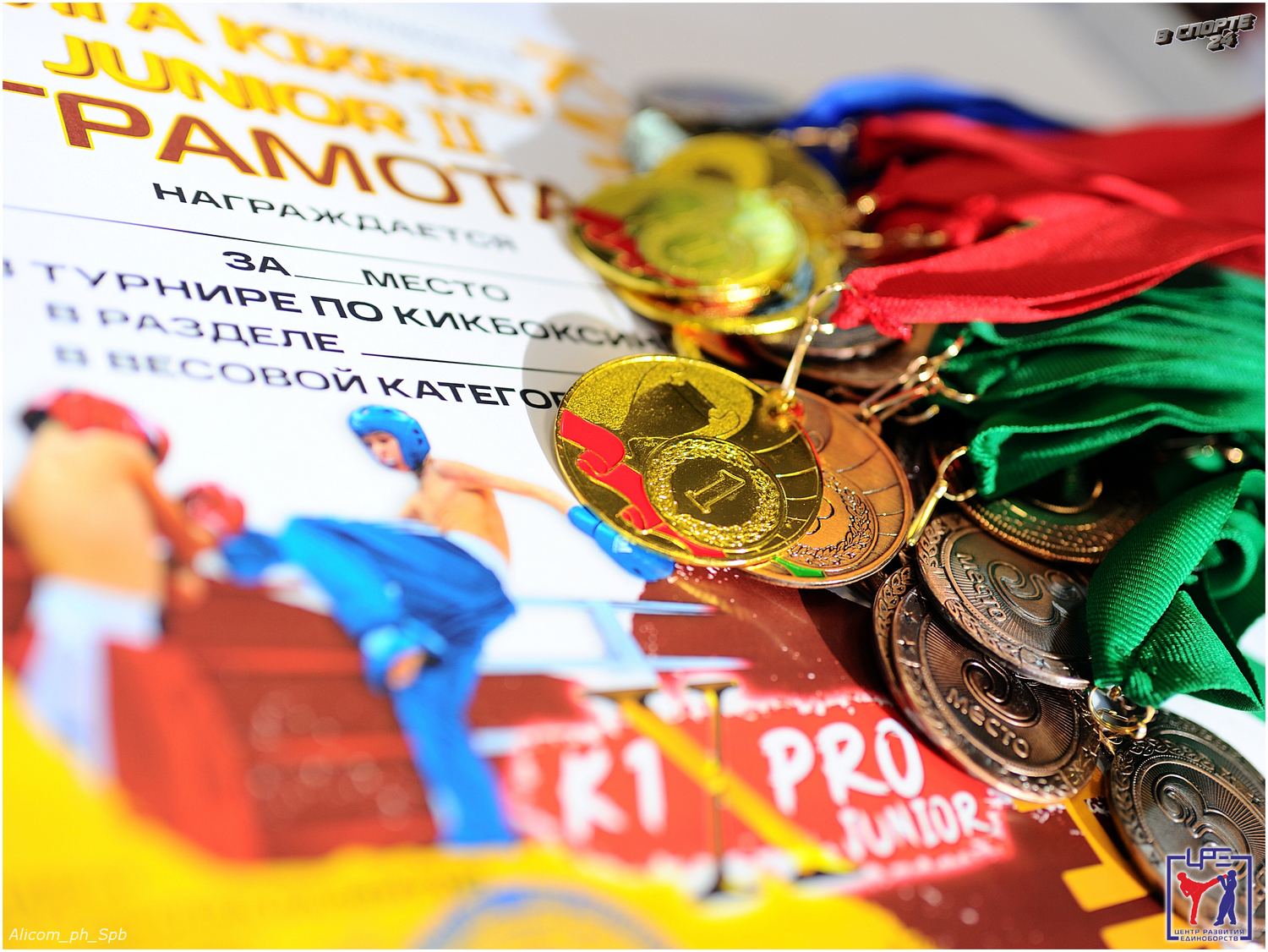 Отборочный турнир лиги «K1XPRO JUNIOR» по кикбоксингу 22 сентября 2024 года 