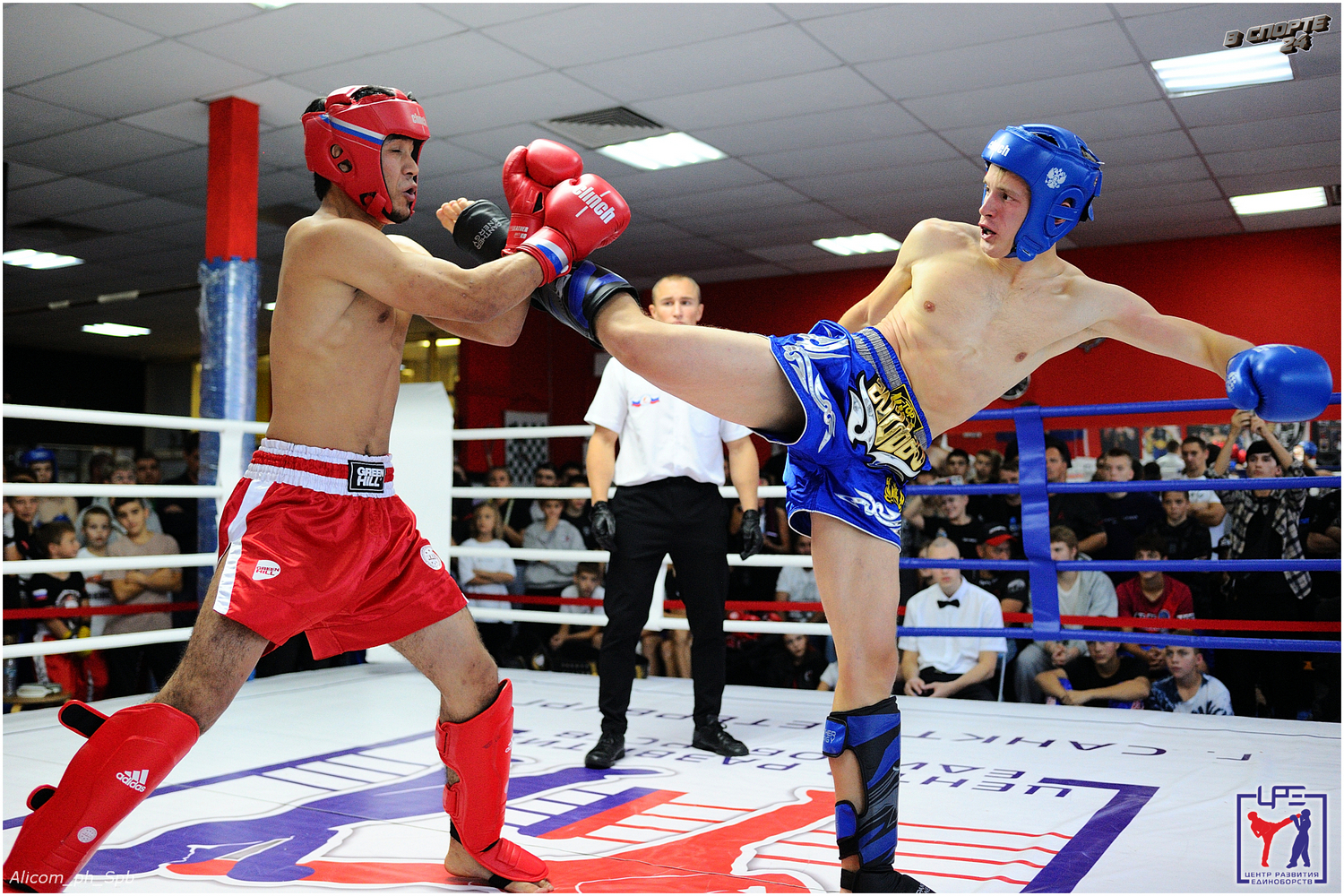 Отборочный турнир лиги «K1XPRO JUNIOR» по кикбоксингу 22 сентября 2024 года 