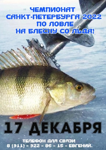 Информация 17  2022 г.